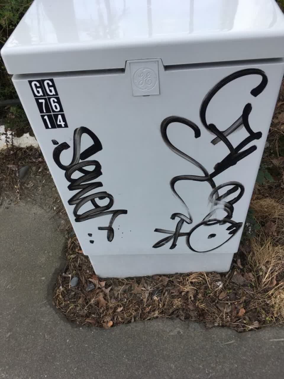The photograph attached to this graffiti report