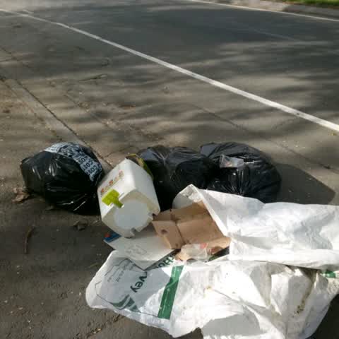 Rubbish/Recycling, a report photo