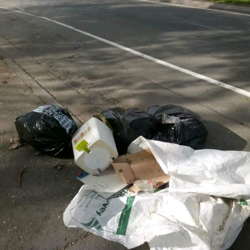 The photograph attached to this rubbish/recycling report