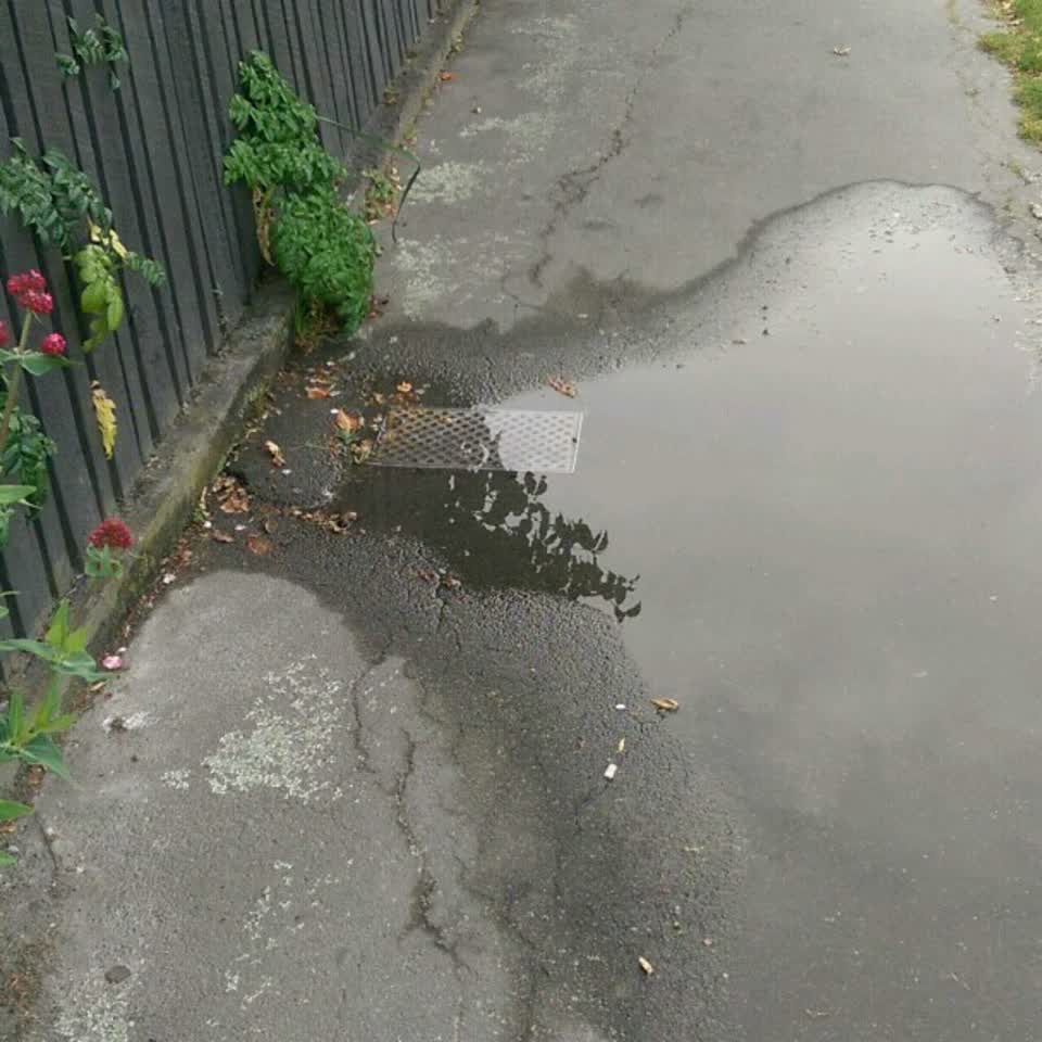 The photograph attached to this water supply report