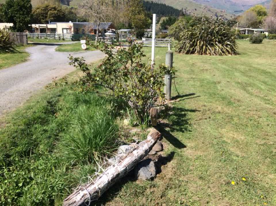 The photograph attached to this parks report