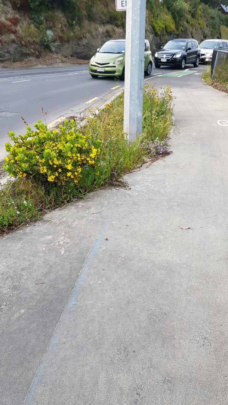 The photograph attached to this roading/streets report