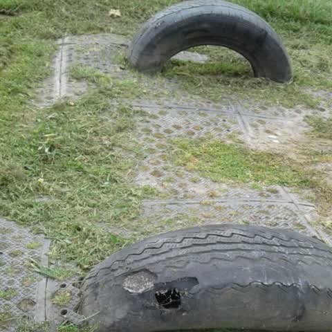 Parks, a report photo