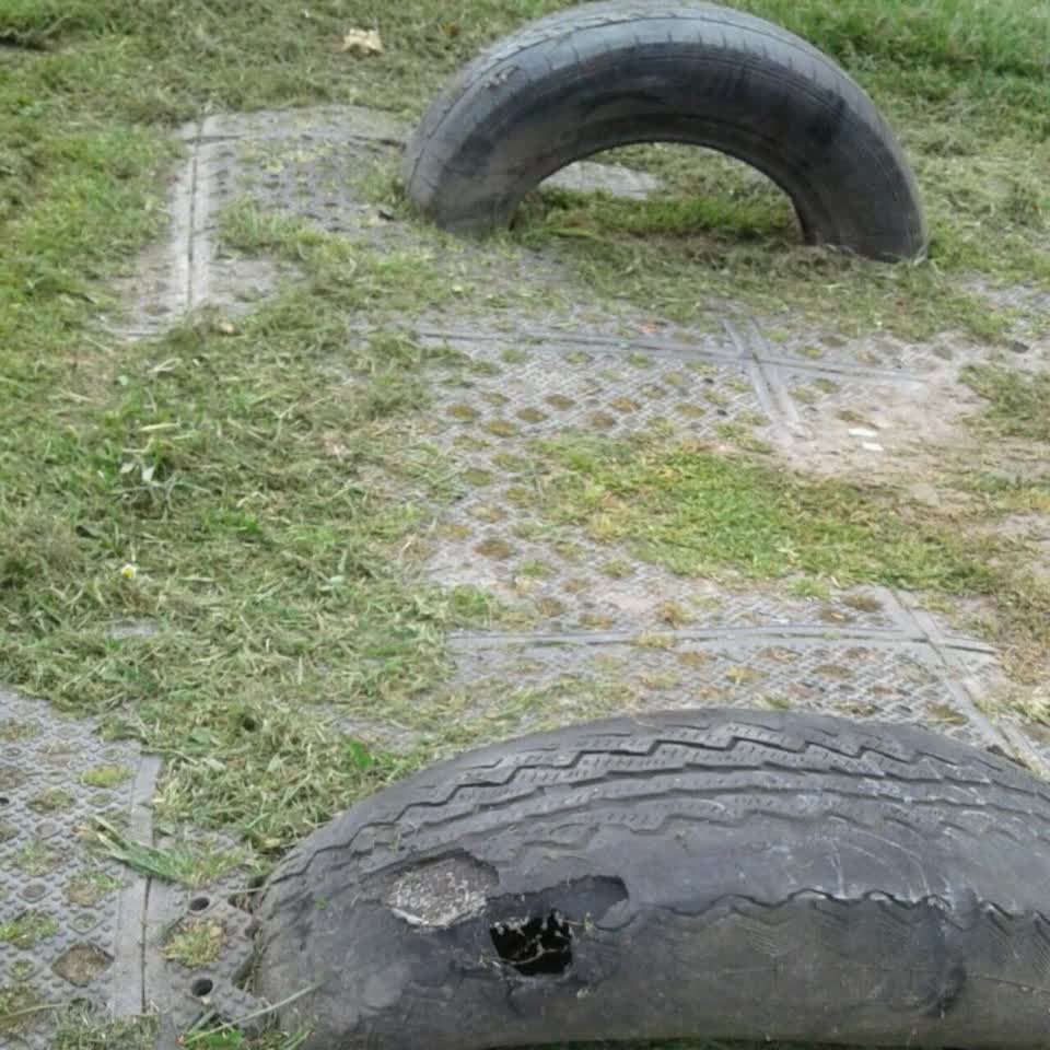 The photograph attached to this parks report