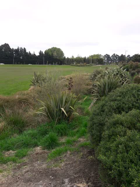 Parks, a report photo