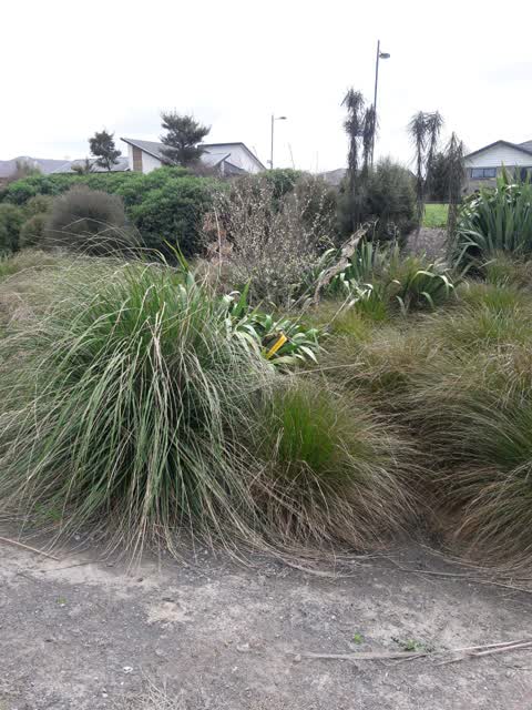 Parks, a report photo