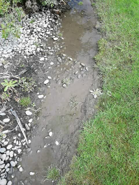 Flooding, a report photo
