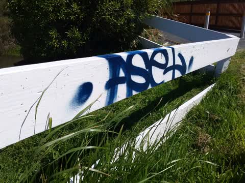 Graffiti, a report photo
