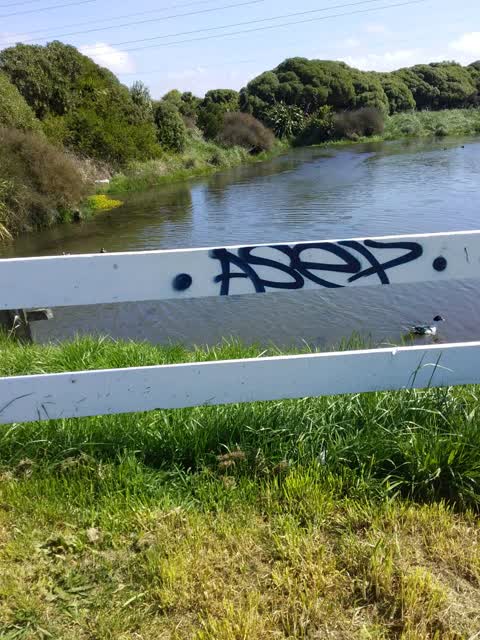 Graffiti, a report photo