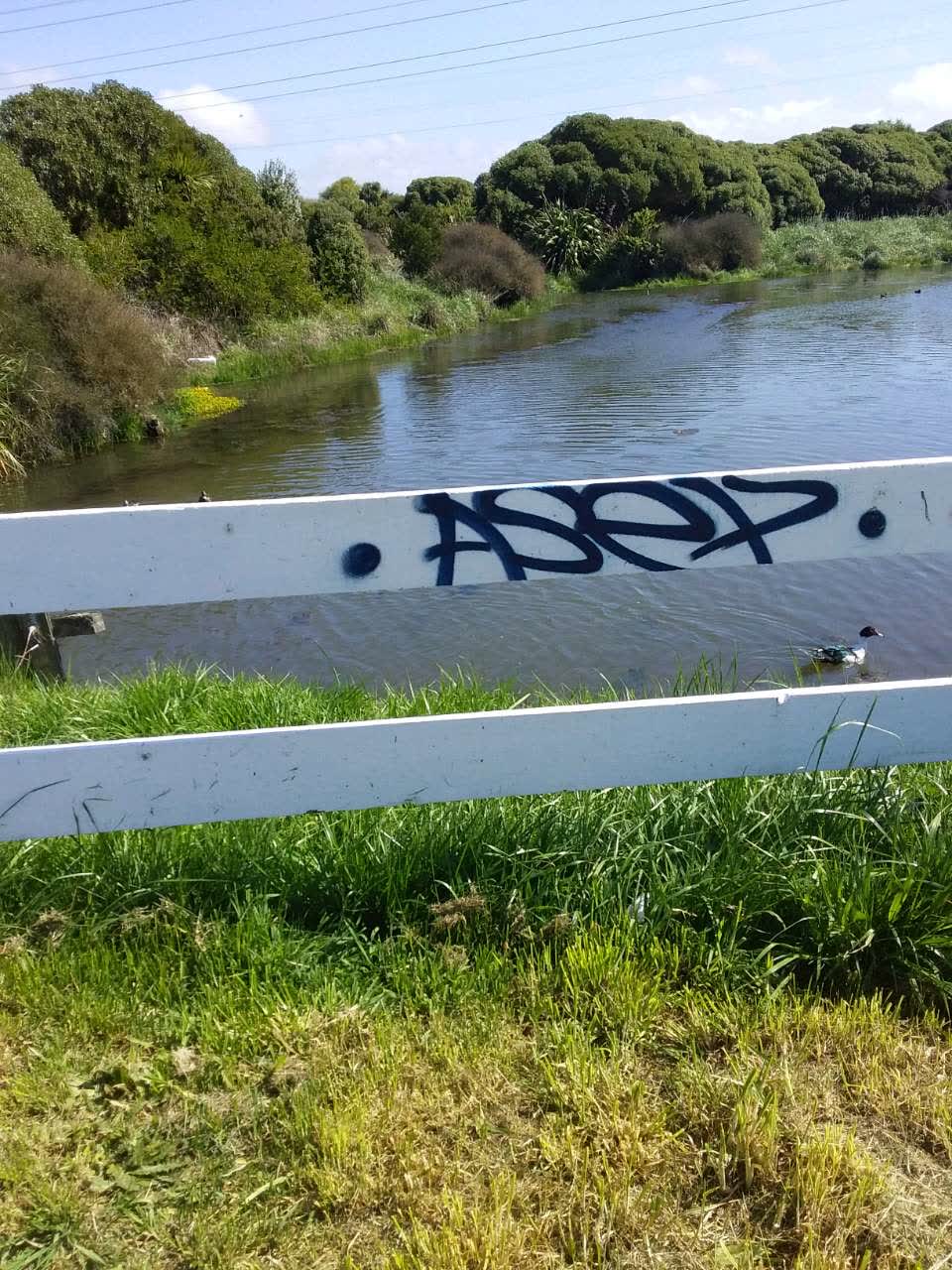 The photograph attached to this graffiti report