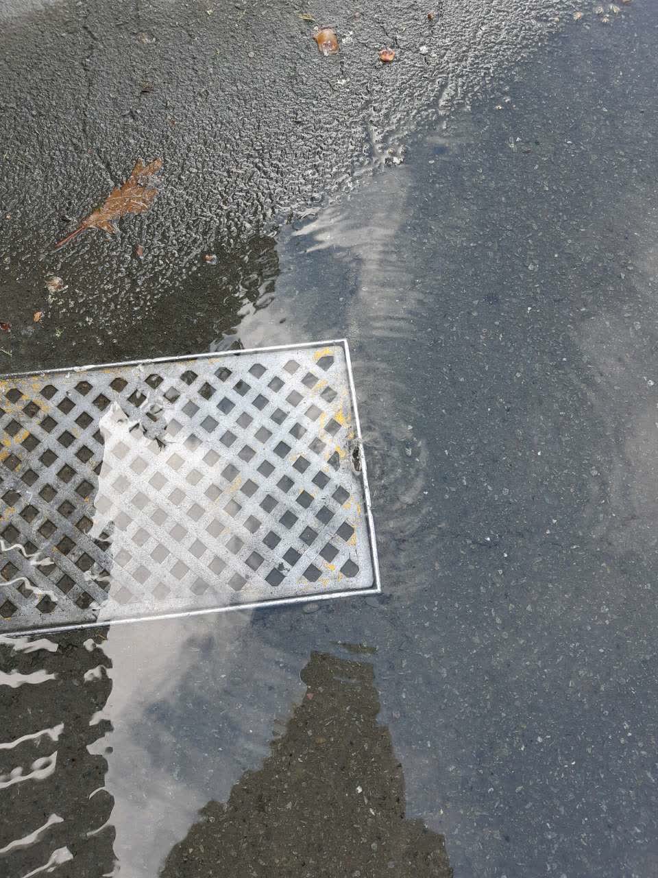 The photograph attached to this water supply report