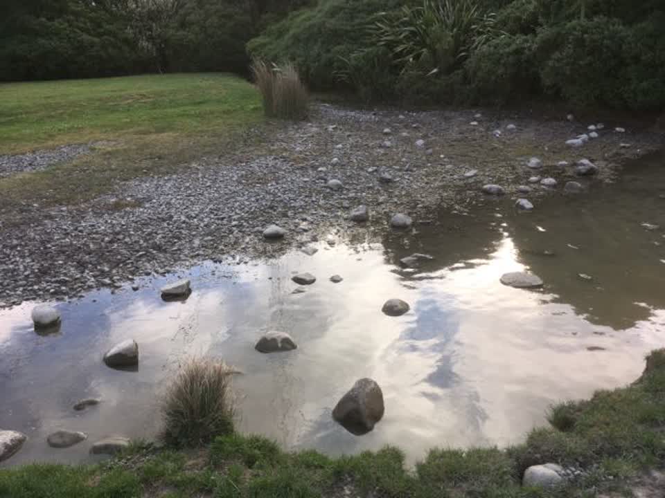 The photograph attached to this parks report