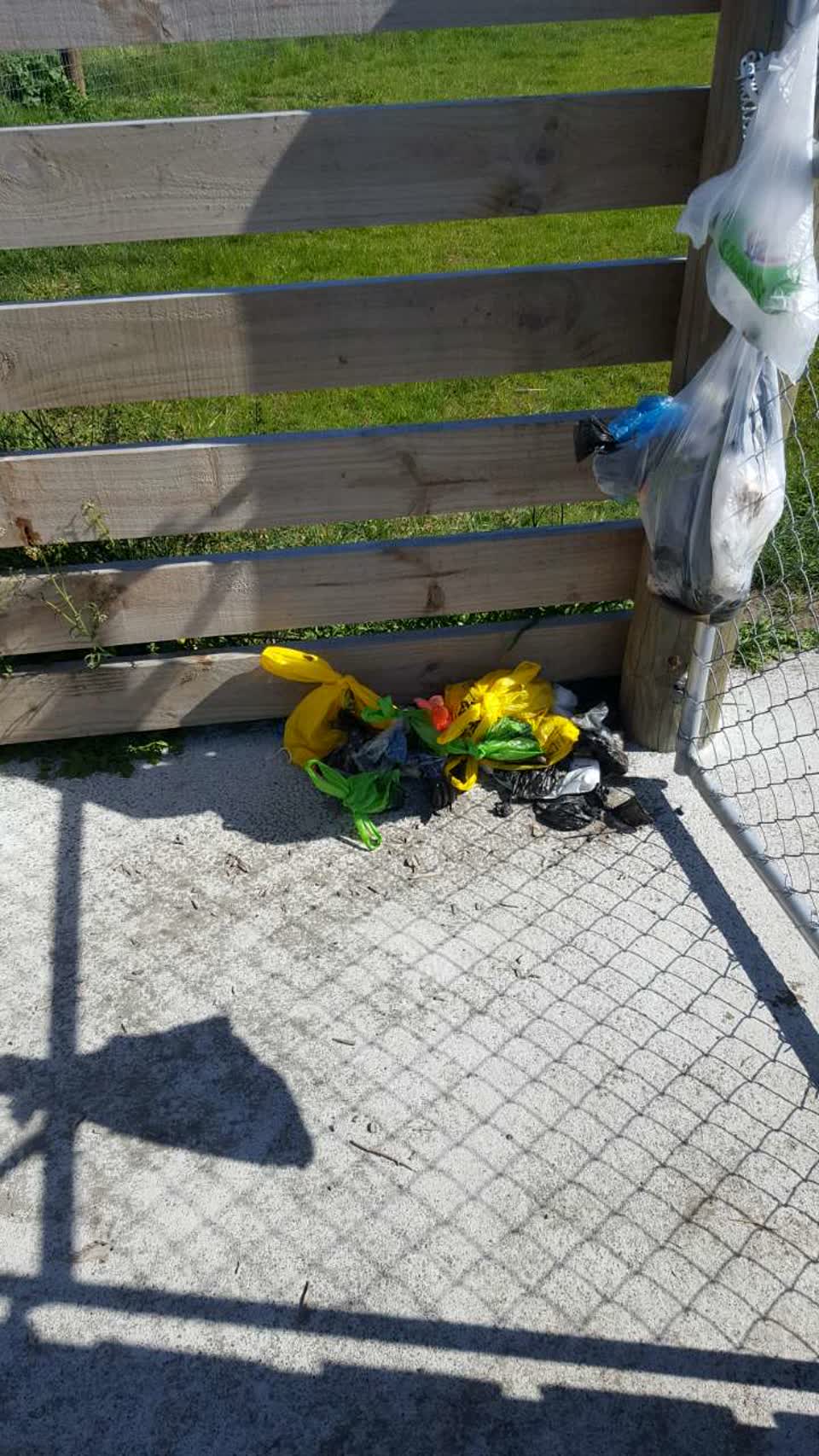 The photograph attached to this rubbish/recycling report