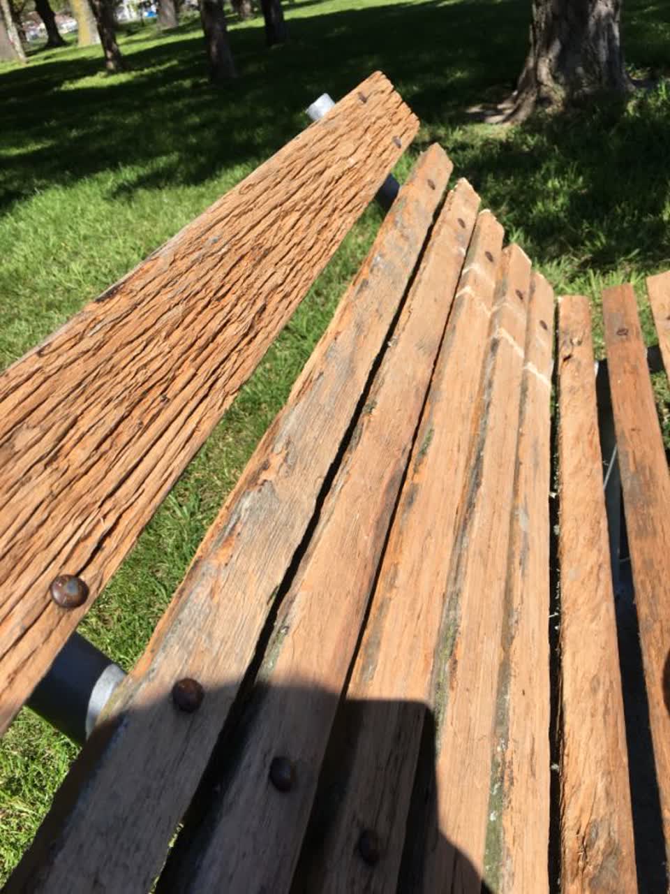 The photograph attached to this parks report