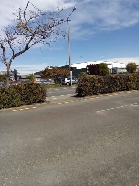 Parks, a report photo