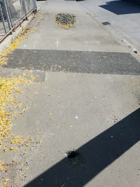 Roading/Streets, a report photo