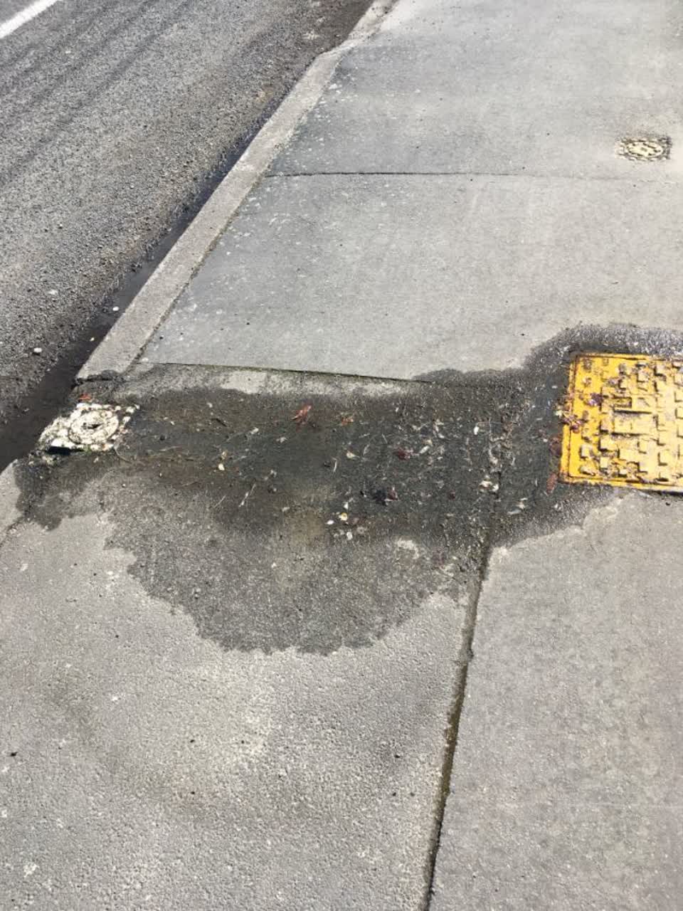 The photograph attached to this water supply report