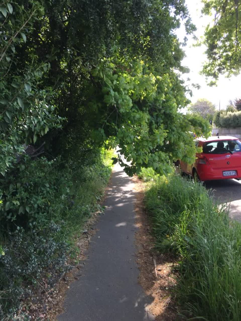 The photograph attached to this roading/streets report
