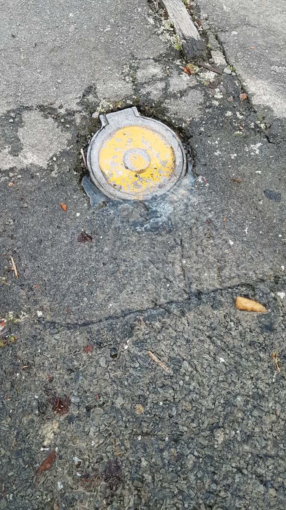 The photograph attached to this water supply report
