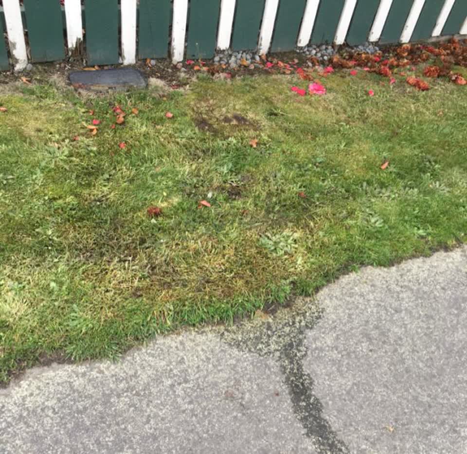The photograph attached to this water supply report