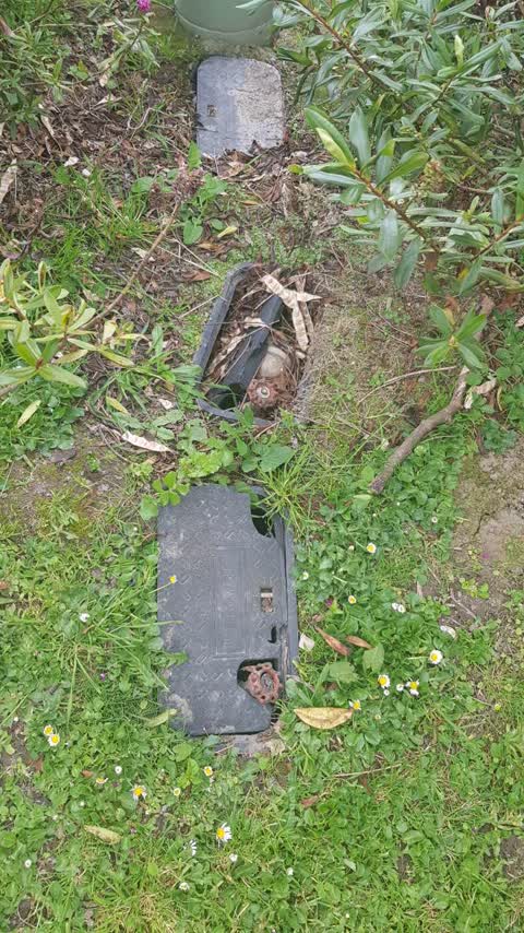 Wastewater/Stormwater, a report photo