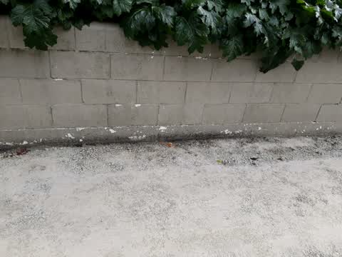 Roading/Streets, a report photo
