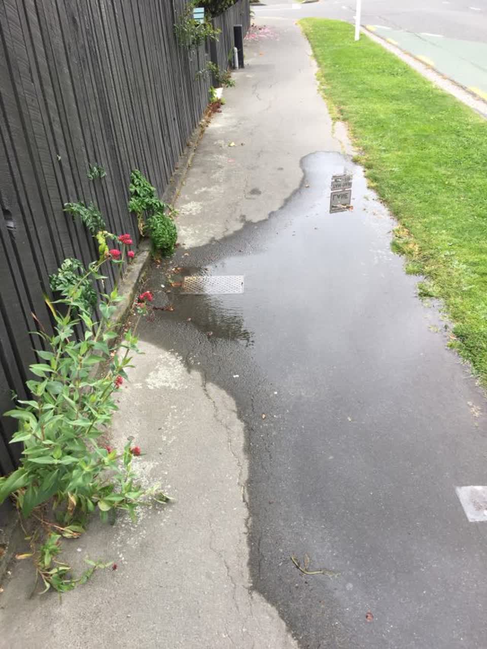 The photograph attached to this water supply report