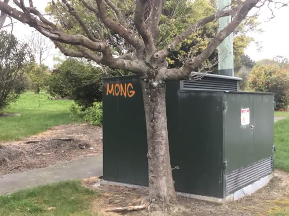 The photograph attached to this graffiti report