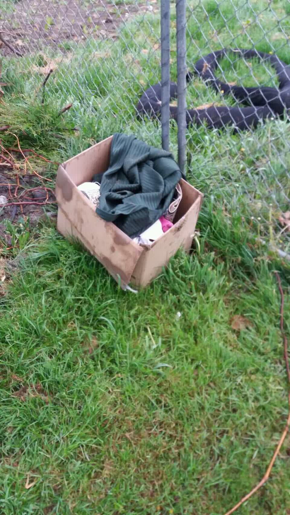 The photograph attached to this rubbish/recycling report