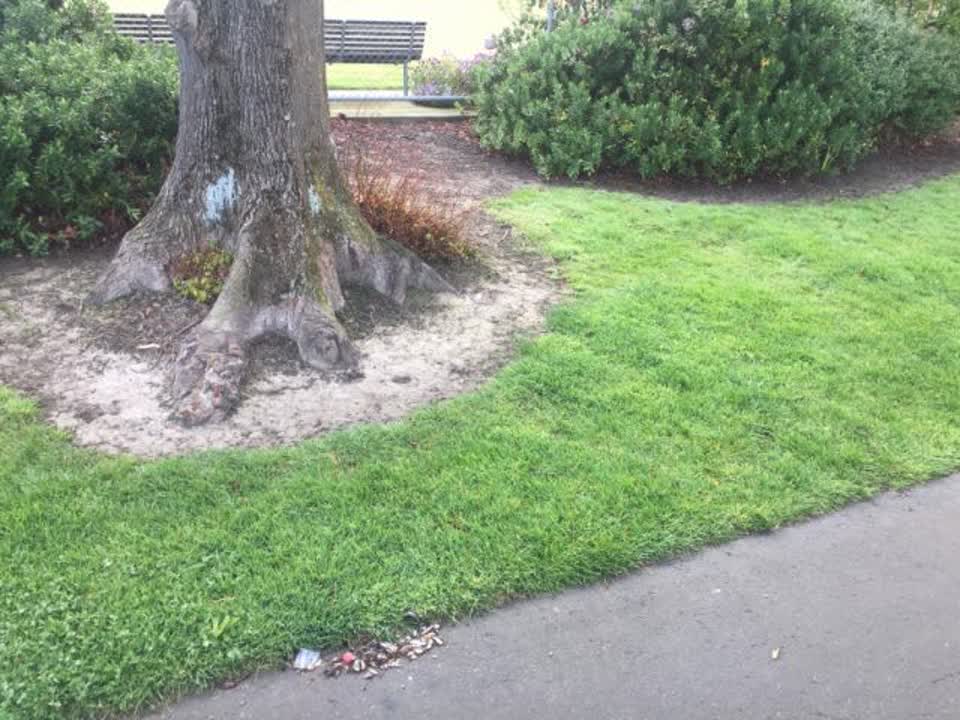 The photograph attached to this parks report
