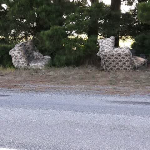 Rubbish/Recycling, a report photo