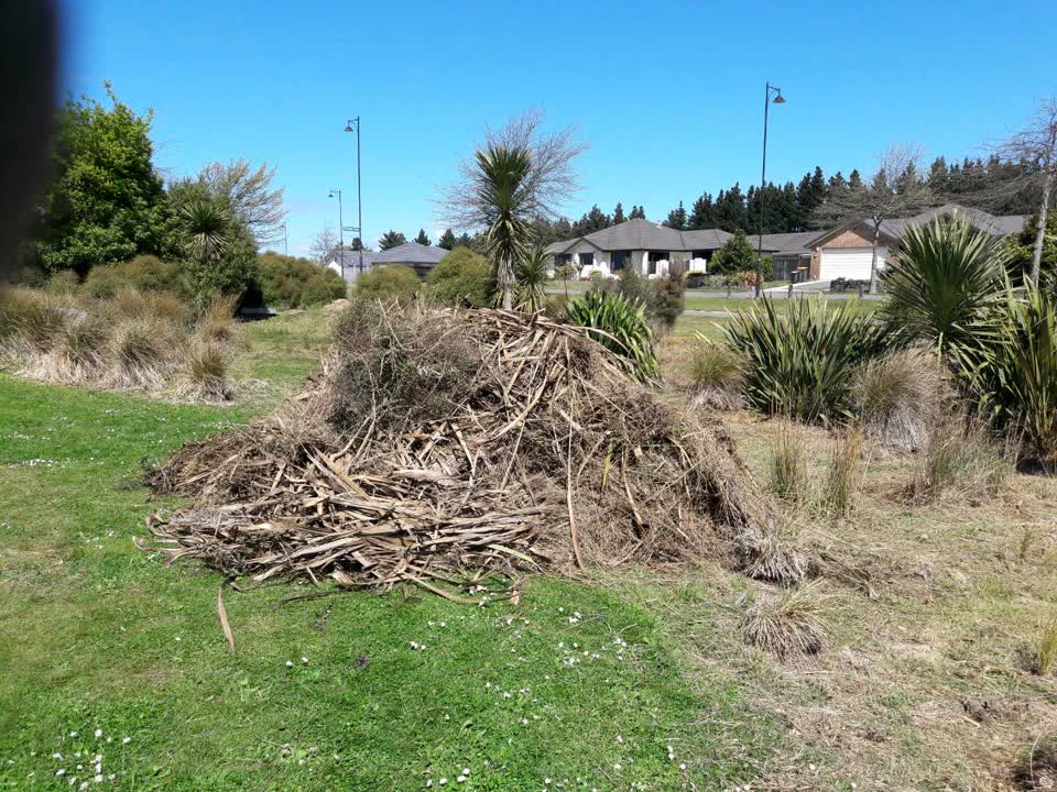 The photograph attached to this parks report