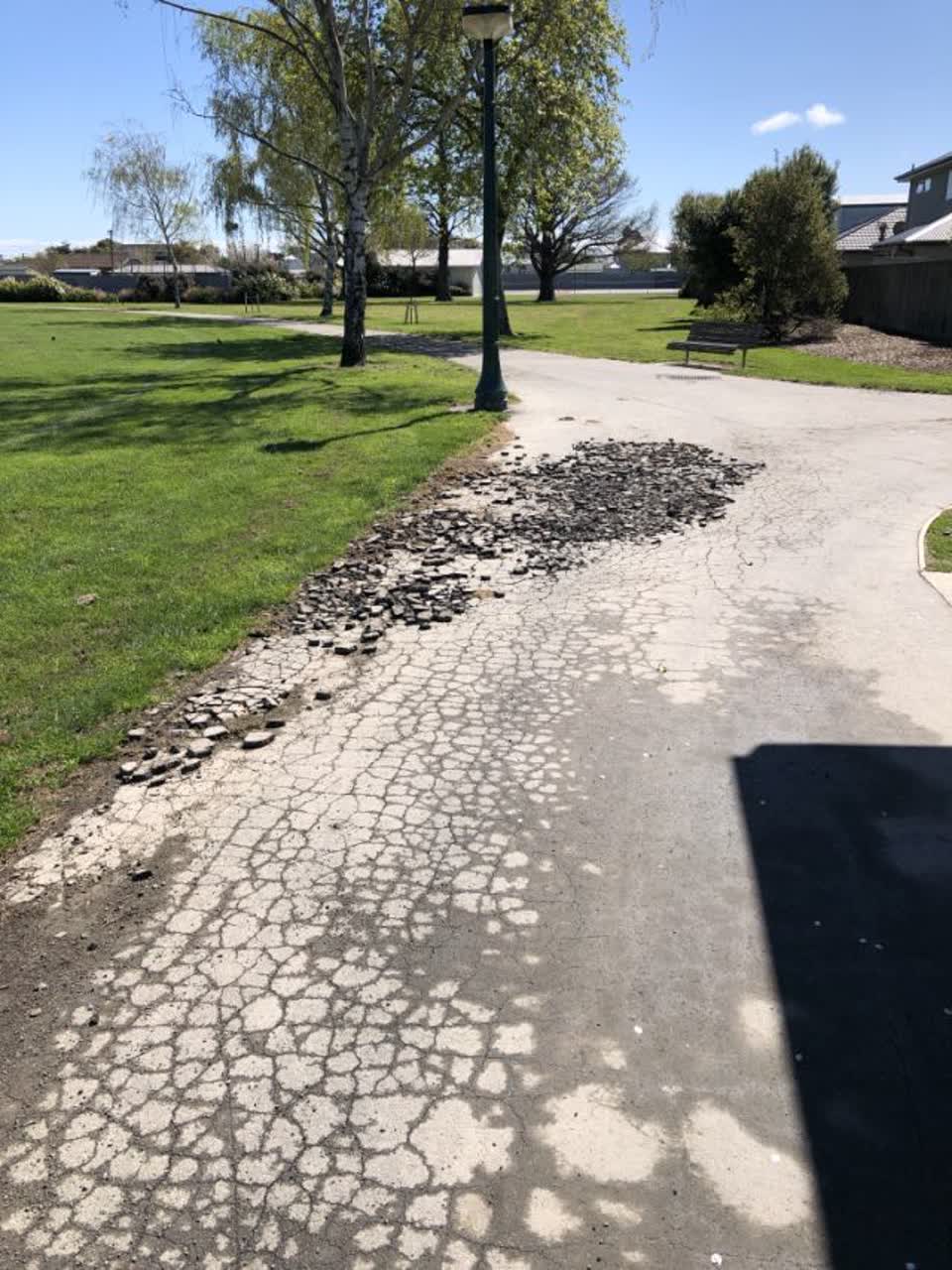 The photograph attached to this parks report