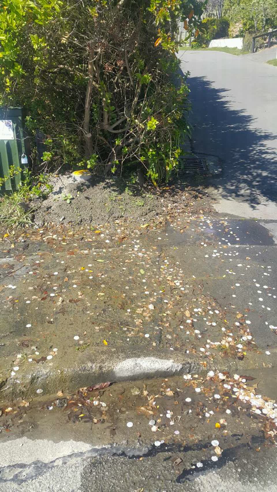 The photograph attached to this water supply report