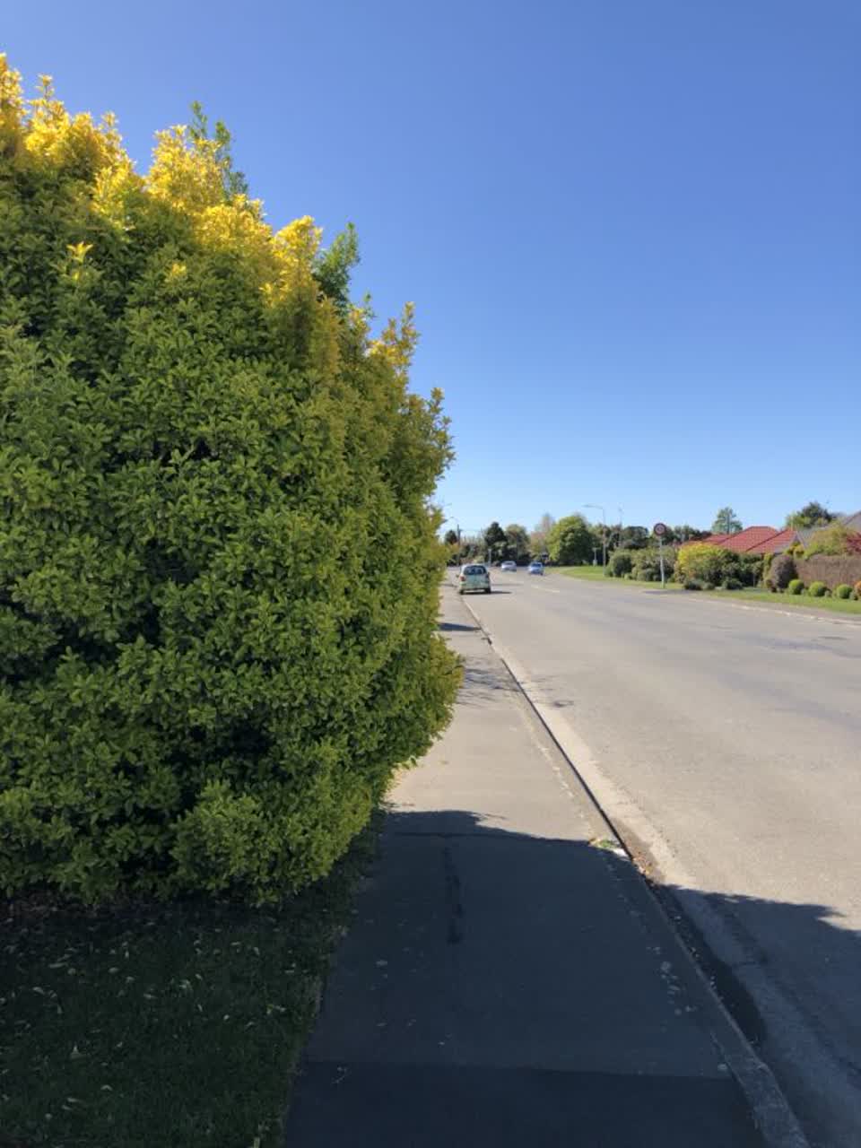 The photograph attached to this roading/streets report