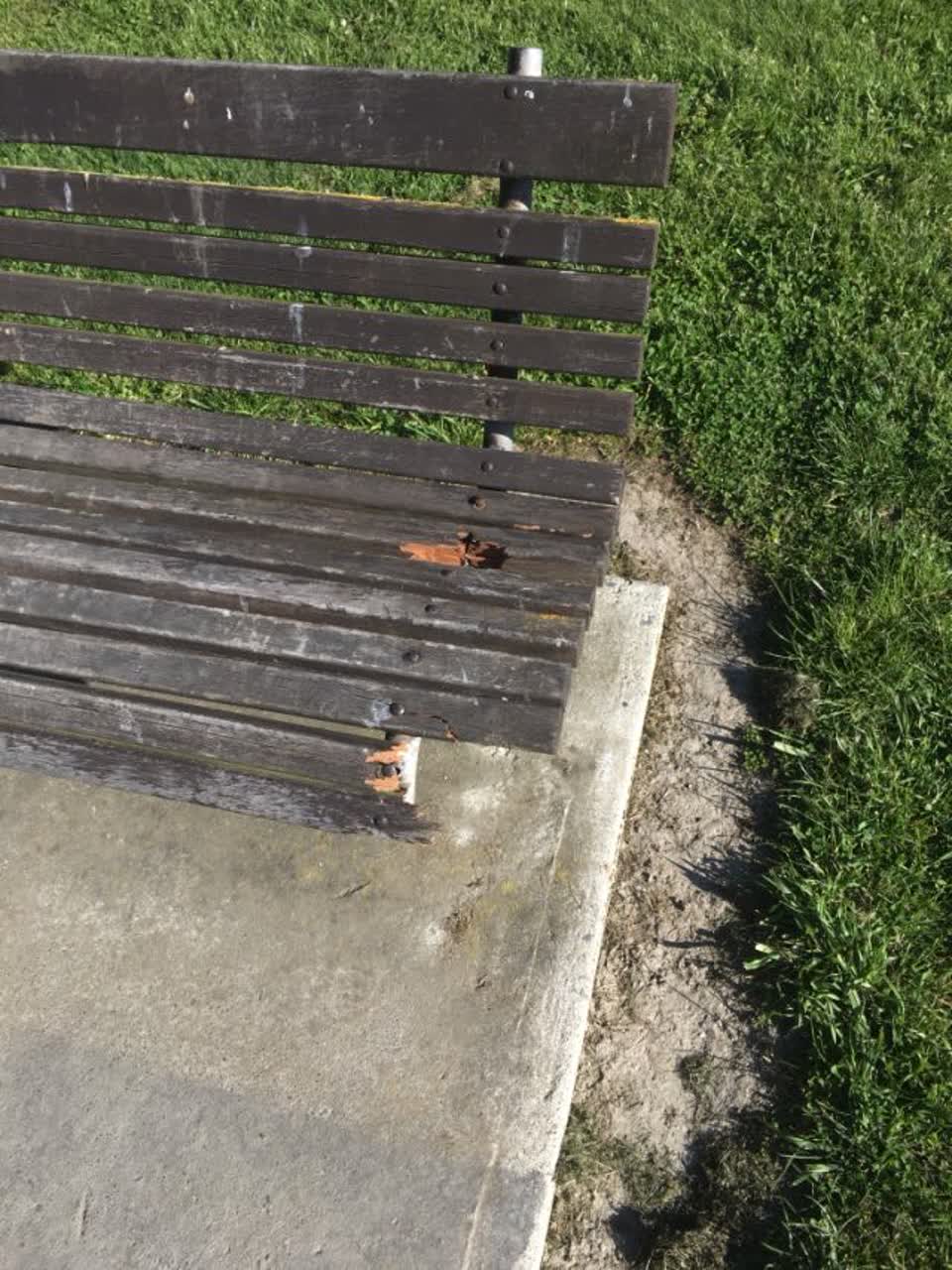 The photograph attached to this parks report