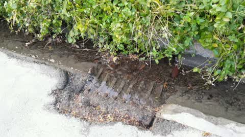 Wastewater/Stormwater, a report photo