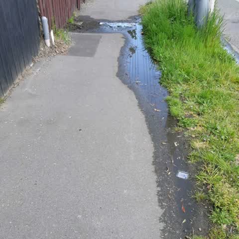 Water Supply, a report photo