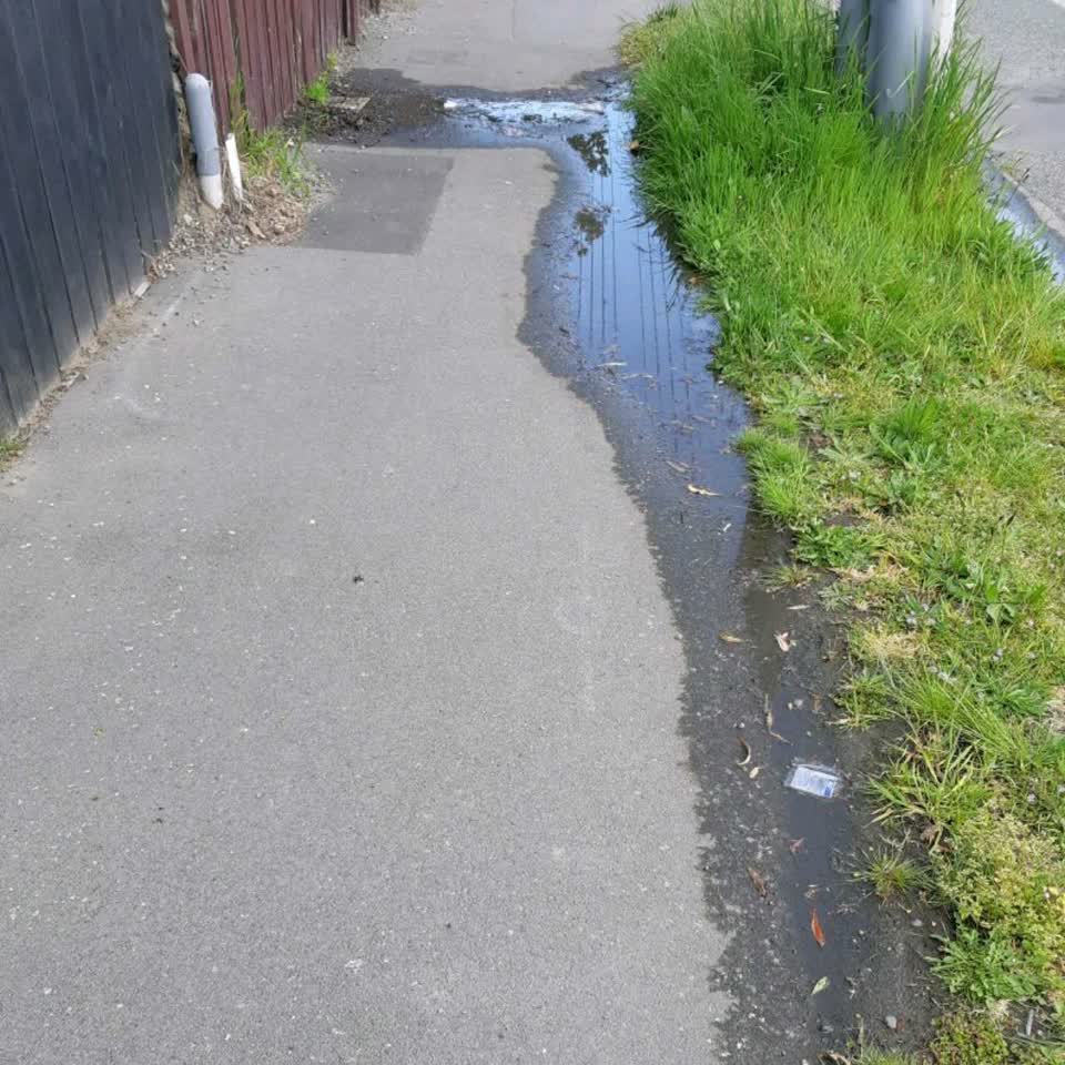 The photograph attached to this water supply report