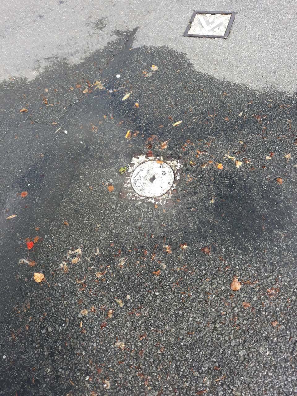 The photograph attached to this water supply report