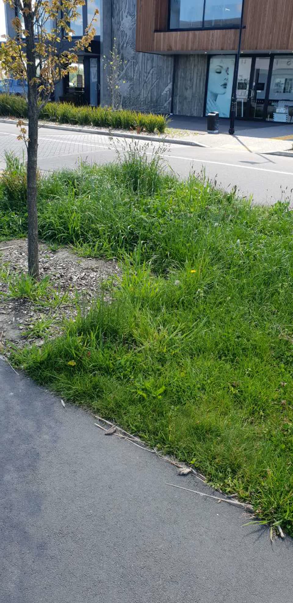 The photograph attached to this parks report