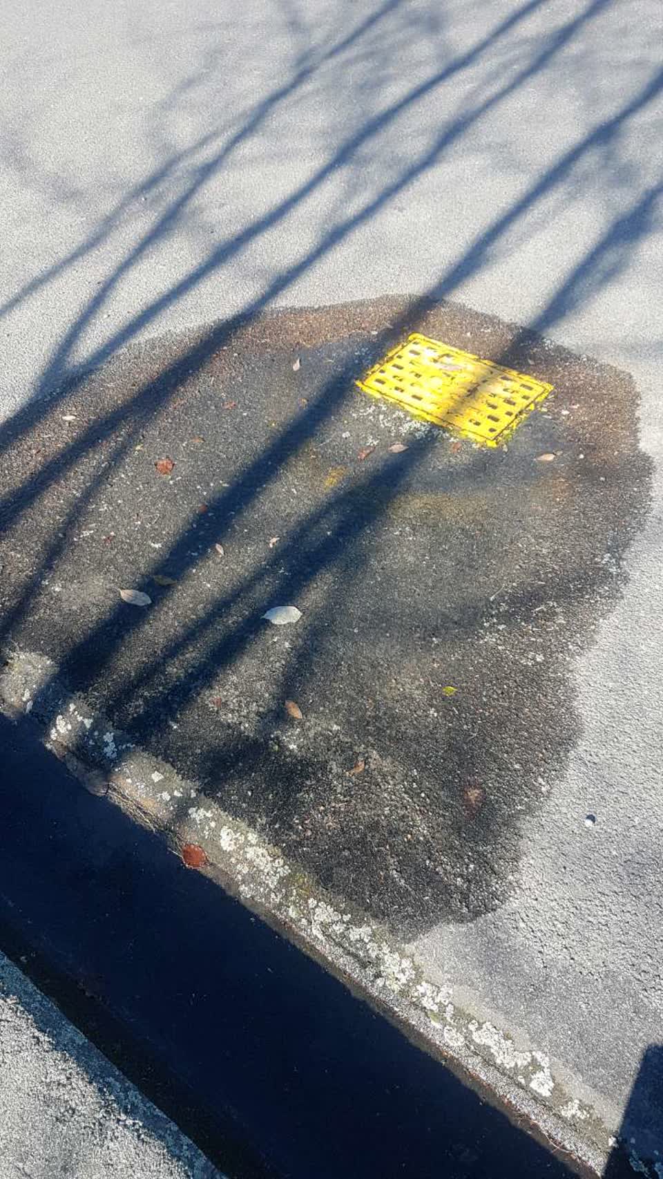 The photograph attached to this water supply report