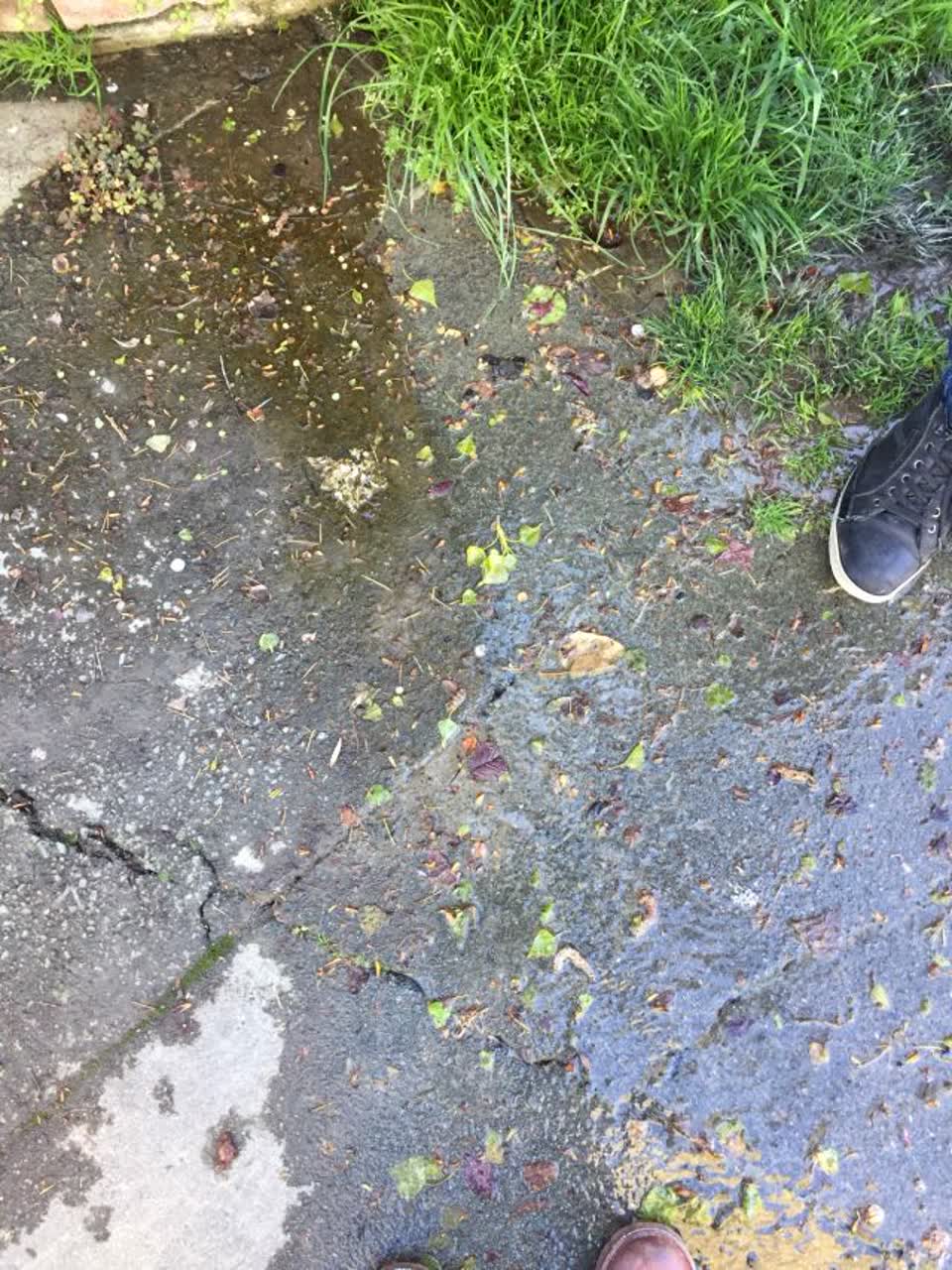 The photograph attached to this water supply report