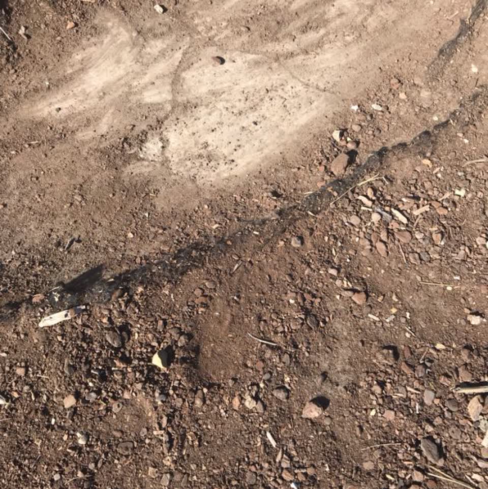 The photograph attached to this parks report
