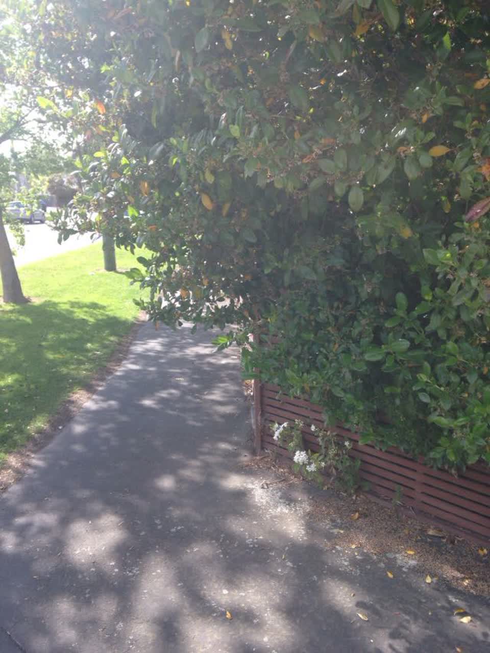 The photograph attached to this roading/streets report