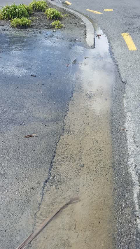 Roading/Streets, a report photo