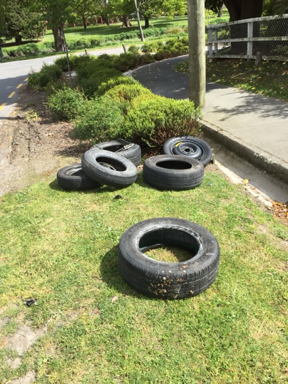 The photograph attached to this rubbish/recycling report