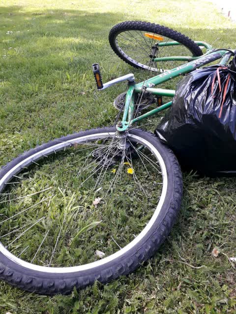 Parks — a report photo
