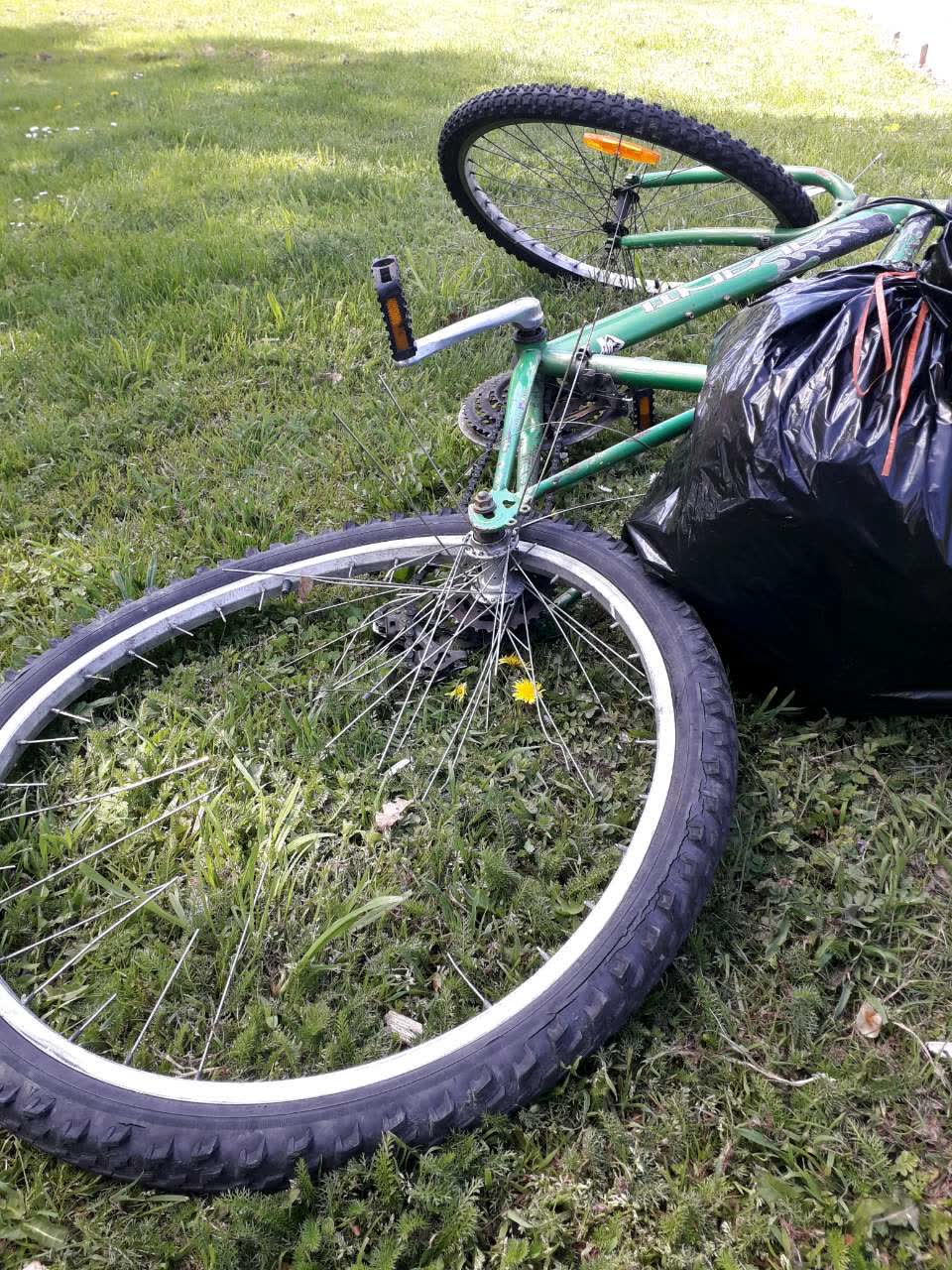 The photograph attached to this parks report