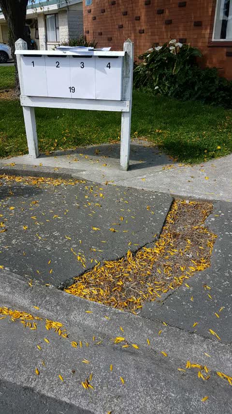 Roading/Streets, a report photo